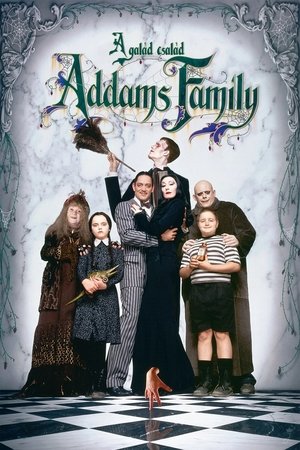 Image Addams Family - A galád család
