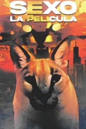 SEX: THE MOVIE
