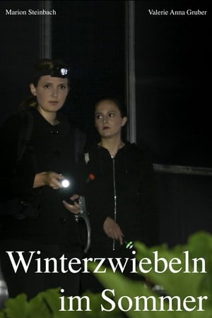 Image Winterzwiebeln im Sommer