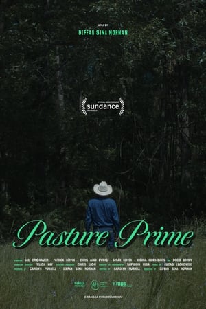 Image Pasture Prime