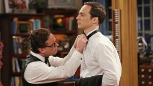 The Big Bang Theory: 8×8