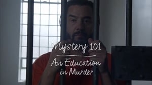 Mystery 101