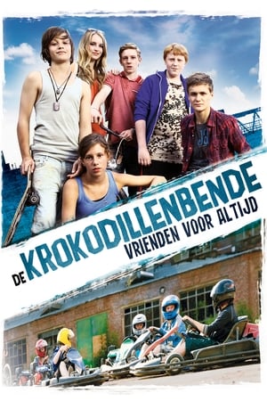 Poster Vorstadtkrokodile 3 2011