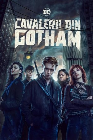Image Cavalerii din Gotham