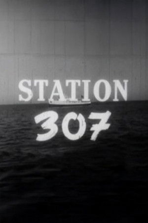 Station 307