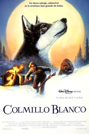 Poster Colmillo blanco 1991