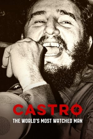 Poster Castro: The World's Most Watched Man 2015