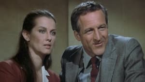 Polizeirevier Hill Street: 3×20