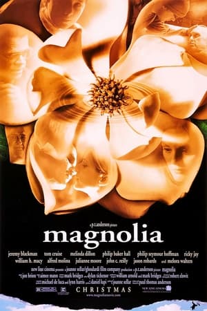 Poster di Magnolia