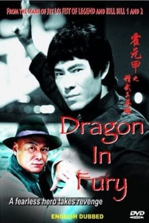 Poster Dragon in Fury 2004