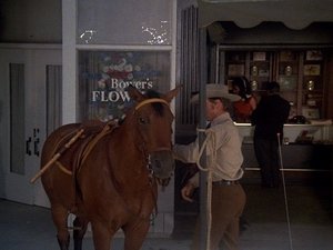 McCloud Manhattan Manhunt (1) (or Horse Stealing on Fifth Avenue)