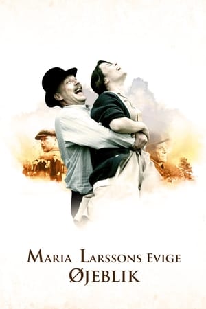 Poster Maria Larssons evige øjeblik 2008