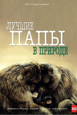 Image Лучшие папы в природе