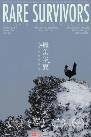 最美华夏：中国的野生国宝
