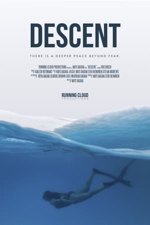 Poster Descent (2020)