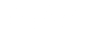 飞行家 — Logos 2
