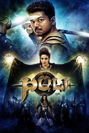 Puli