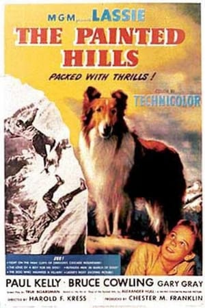 Lassie und die Goldgräber Film