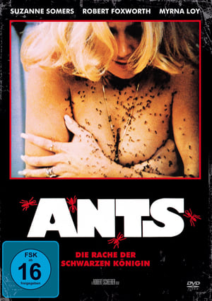 Ameisen - Die Rache der schwarzen Königin 1977