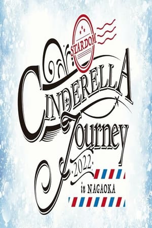 Stardom Cinderella Journey In Nagaoka 2022
