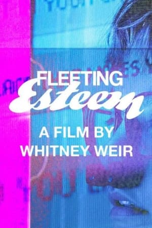 Poster Fleeting Esteem 2022