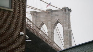 If You Can Make It Here