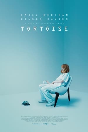 Poster Tortoise (2021)