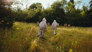 Bugonia (2025) บูโกเนีย