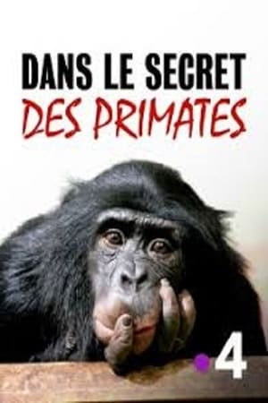Poster Dans le secret des primates 2020
