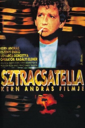 Poster Sztracsatella 1996
