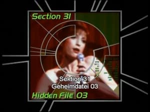 Image Section 31: Hidden File 03 (S06)