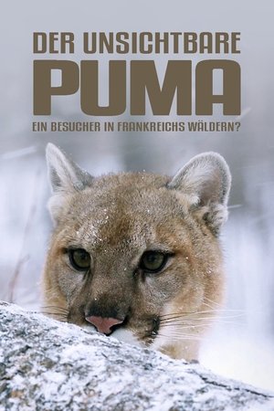 Poster Der unsichtbare Puma - Ein Besucher in Frankreichs Wäldern? 2019