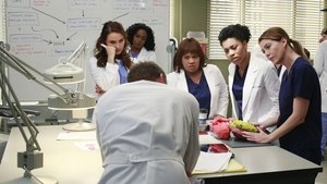 Grey’s Anatomy 11 x Episodio 10