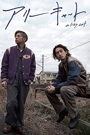 Poster Alley Cat (2017)