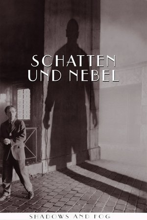 Image Schatten und Nebel