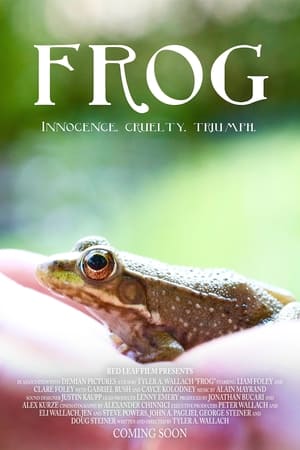 Poster Frog 2016