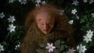 Ronja Räubertochter: 1×2