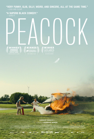 Peacock 24