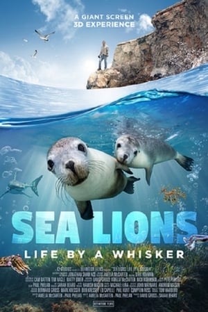 Image Sea Lions: Life By a Whisker