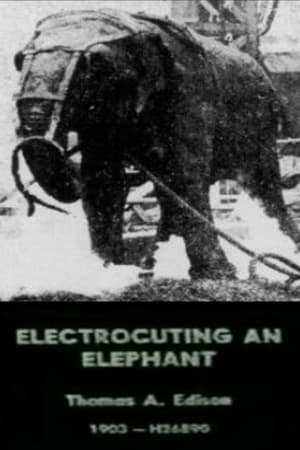 Image Electrocuting an Elephant