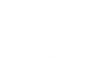 디 엠파이어: 법의 제국 — Logos 2