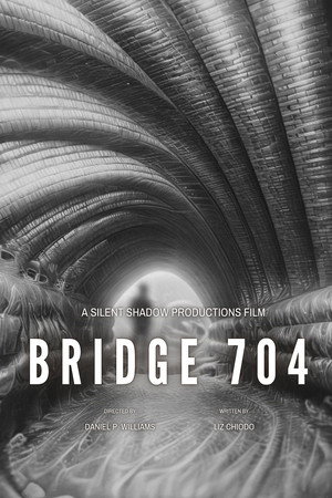 Bridge 704 (2026)