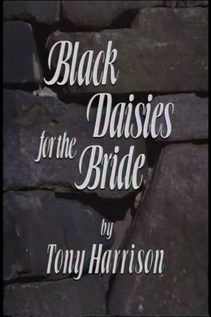 Black Daisies For The Bride 2
