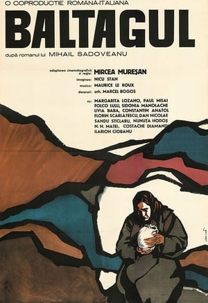 Poster Baltagul 1969