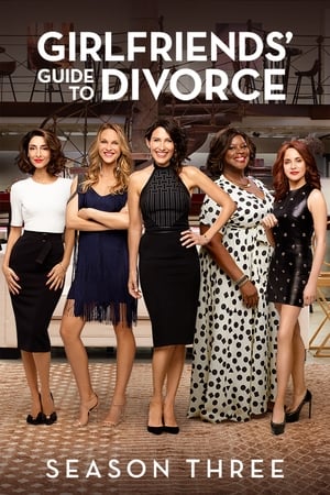 Girlfriends' Guide to Divorce: Saison 3