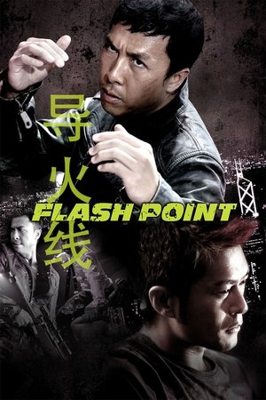 Watch Flash Point (2007) HD Movie Online Free