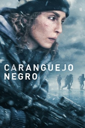 Caranguejo Negro - Poster