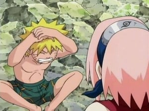 Naruto Clássico Dublado – Episódio 35 – O Segredo do Pergaminho: Não é Permitido Olhar