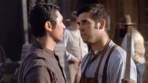 Love Takes Wing (2009)