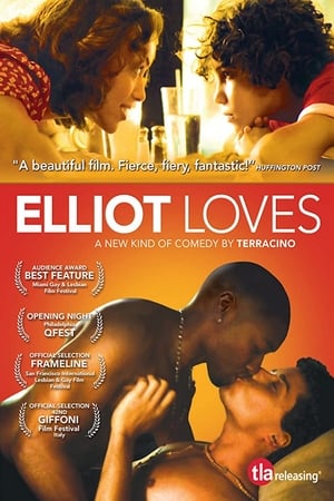 Poster di Elliot Loves